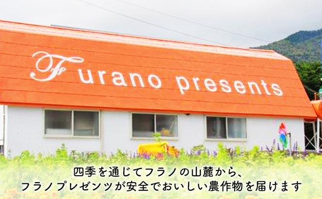 【2025年8月～発送】北海道 富良野市 とうもろこし サニーショコラ 黄色 L～2L サイズ 計10kg ふらの 野菜 トウモロコシ とうきび 数量限定 (フラノプレゼンツ)