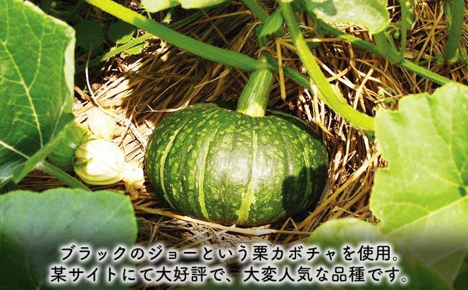 【2025年9月～発送】北海道 富良野市 かぼちゃ ブラックのジョー 20kg ふらの 野菜 カボチャ 数量限定 (フラノプレゼンツ)