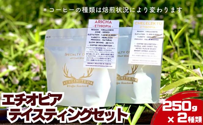 エチオピア テイスティングセット 250g × 2種類 ドリンク コーヒー スペシャルティコーヒー