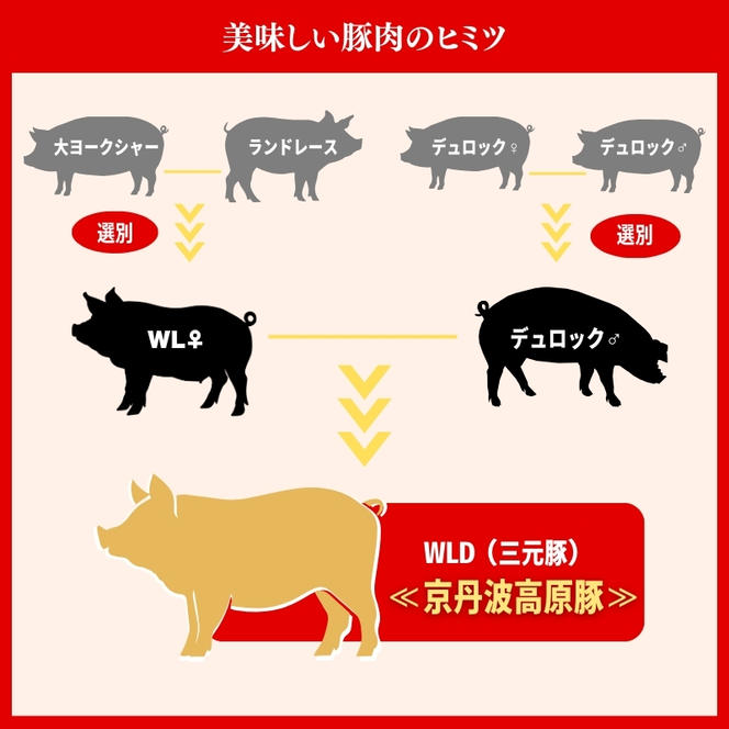 国産豚肉 焼肉用 ロース 1kg 京丹波高原豚