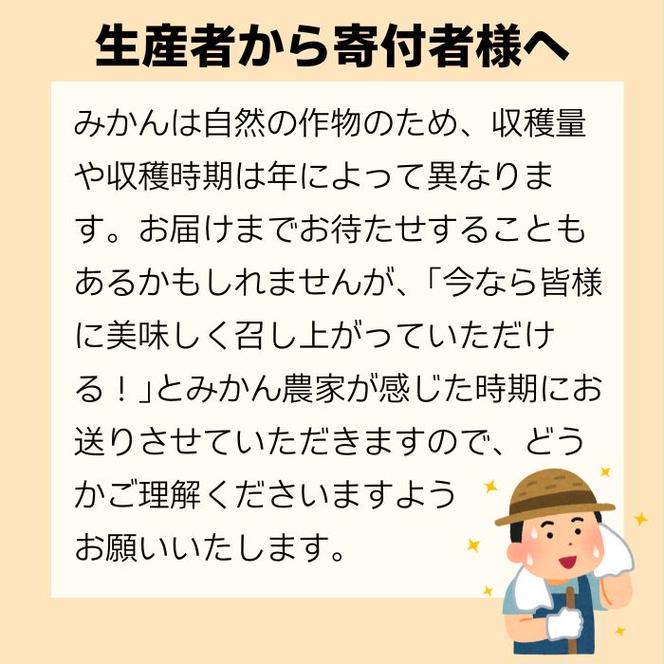 訳あり 愛媛みかん 早生みかん 5kg 早生みかん 蜜柑 みかん 温州みかん 早生 愛媛みかん オレンジ 果物 フルーツ 柑橘 人気 サイズ 不揃い サイズミックス 愛媛県 愛南町青果市場 発送期間：2024年11月初旬～11月末(なくなり次第終了)