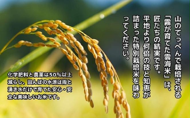霧が育てた雲海米 特別栽培米 5kg 米 お米 雲海米 精米 コシヒカリ 岡山 高梁市
