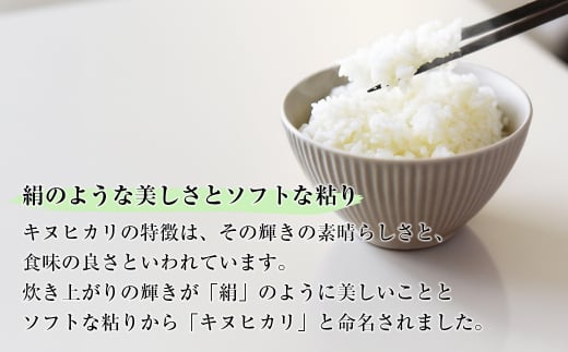 淡路島産　キヌヒカリ　10kg　定期便（12回）