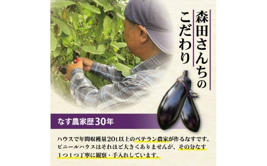 森田さんちの土佐市産お竜なす 約2.5kg 2.5キロ 29～34本 1本約80g 茄子 ナス なすび 野菜 新鮮 焼き茄子 煮浸し 漬物 浅漬け ぬか漬け 味噌汁 おかず 弁当 お取り寄せ 食品