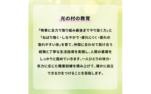 撚糸バック（小）小さい マグネット付き 内ポケット有 デニム風布地 バッグ 柄布地 ねんし 学生 お仕事 通勤 通学 お買い物 軽量 軽い 丈夫 不織布 実用的 メンズ レディース 日用品