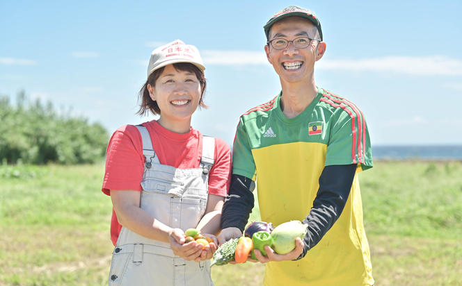 ご家庭向けお野菜セット～旬のおまかせBOX～2回お届け