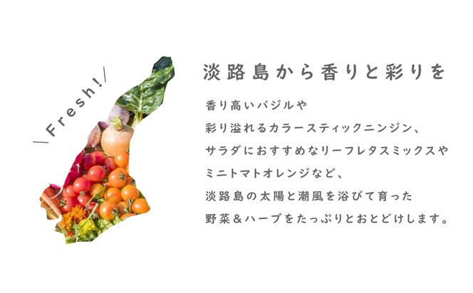 フレッシュグループ淡路島彩り野菜と香るハーブセット　　[野菜セット 野菜詰め合わせ 野菜セット]