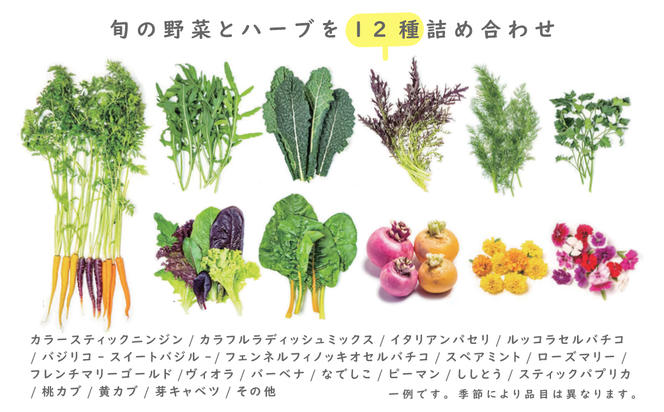 フレッシュグループ淡路島彩り野菜と香るハーブセット　　[野菜セット 野菜詰め合わせ 野菜セット]