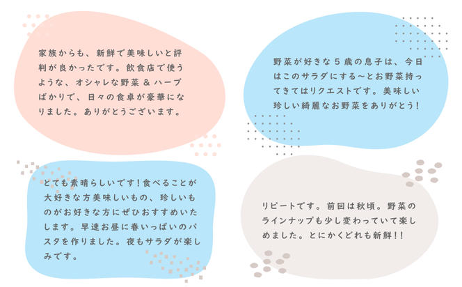 【定期便】彩り野菜と香るハーブセット　１２回お届けセット　　[野菜セット 定期便 野菜詰め合わせ 定期便 野菜セット]