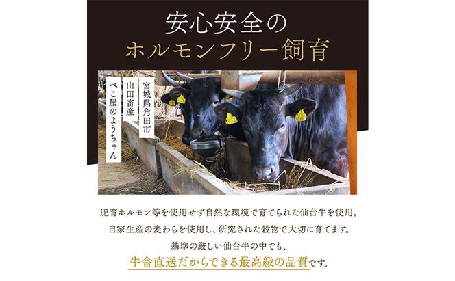 仙台牛×グレインフェッドビーフ 手ごねハンバーグ 150g×10個セット 冷凍発送 牛肉 仙台牛