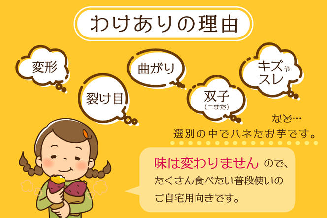 EK-13　【2025年1月より順次発送】【訳あり】農産物直売所「やさいの声」　先行予約　さつまいも　紅はるか　熟成　洗い　約10kg