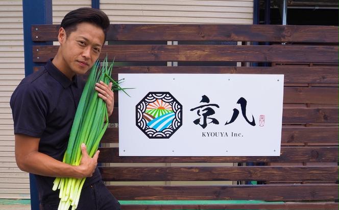 【定期便6回】新鮮 野菜 詰め合わせ セット