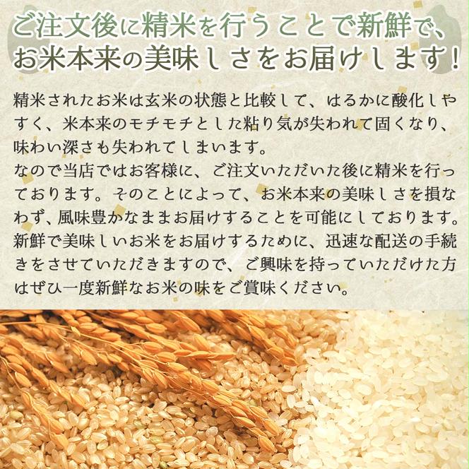 【令和６年産 コシヒカリ】白米30kg（10kg×3袋）2024年産【５営業日以内に発送】