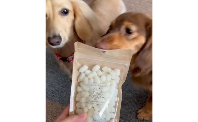 犬 おやつ いぬのお米のおやつ 25g×5袋 セット 無添加 国産 日本製 犬用おやつ 犬のおやつ ペットフード ペット ペット用品 しつけ お米 米 いぬのおやつ 犬のオヤツ 北海道 留萌 留萌市