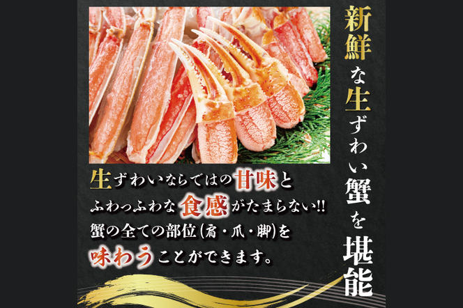 カット済 生本ずわいがに 総重量1kg(内容量800g) < 数量限定 >＜ 生食OK ＞ < 工場直送 > 生ずわいがに ずわいがに ずわい蟹 生冷ずわいがに 生ずわい ずわい かに かに足 蟹足 足 かに脚 蟹脚 脚 かに肩 蟹肩 肩 かに爪 蟹爪 爪 かに鍋 蟹鍋 かにしゃぶ 蟹しゃぶ かに刺し 刺身 焼き蟹 焼きガニ 魚介 海鮮