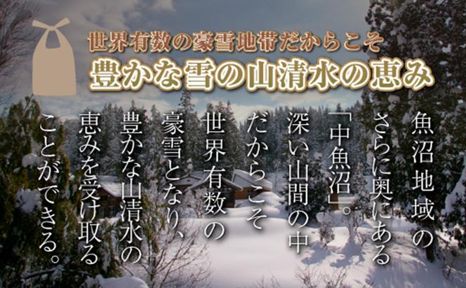 【令和6年産】【定期便／全12回】玄米10kg　新潟県魚沼産コシヒカリ「山清水米」十日町市 米