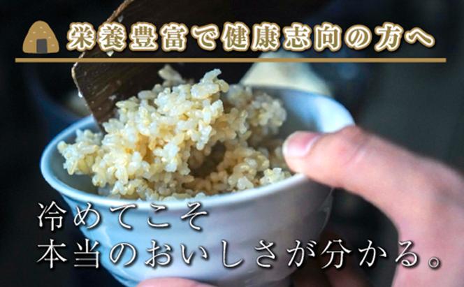 【令和6年産】【定期便／全12回】玄米10kg　新潟県魚沼産コシヒカリ「山清水米」十日町市 米