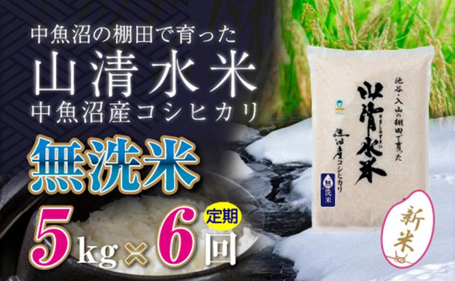 【令和6年産】【定期便／全12回】玄米5kg　新潟県魚沼産コシヒカリ「山清水米」十日町市 米