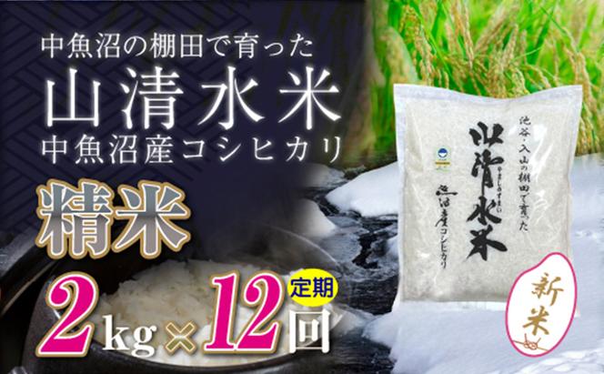 【令和6年産】【定期便／全12回】精米2kg　新潟県魚沼産コシヒカリ「山清水米」十日町市 米