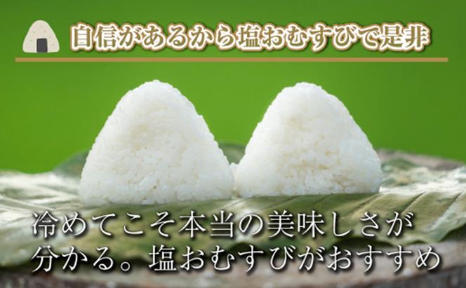 【令和6年産】【定期便／全12回】精米10kg　新潟県魚沼産コシヒカリ「山清水米」十日町市 米