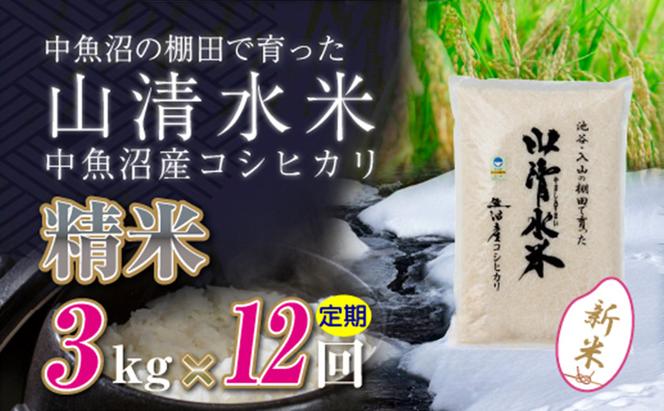 【令和6年産】【定期便／全12回】精米3kg　新潟県魚沼産コシヒカリ「山清水米」十日町市 米