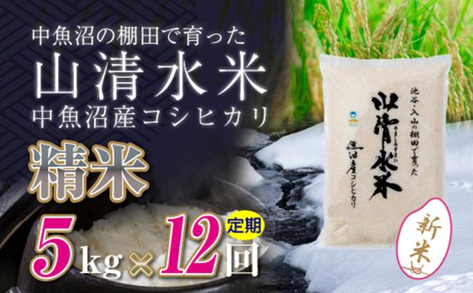 【令和6年産】【定期便／全12回】精米5kg　新潟県魚沼産コシヒカリ「山清水米」十日町市 米