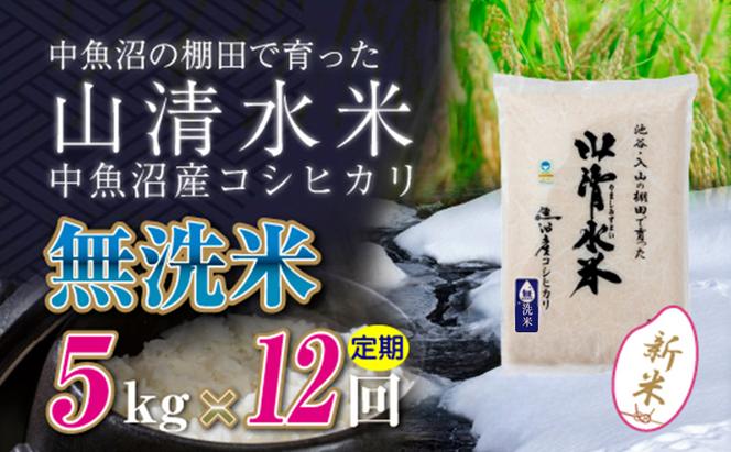 【令和6年産】【定期便／全12回】無洗米5kg　新潟県魚沼産コシヒカリ「山清水米」十日町市 米