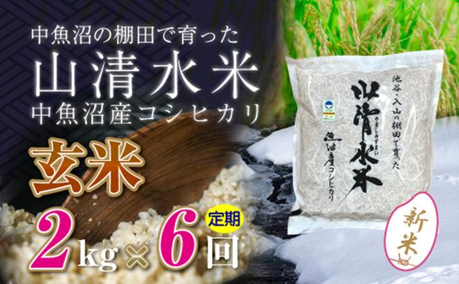 【令和6年産】【定期便／全6回】玄米2kg　新潟県魚沼産コシヒカリ「山清水米」十日町市 米