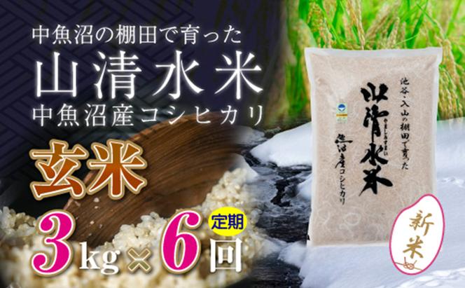 【令和6年産】【定期便／全6回】玄米3kg　新潟県魚沼産コシヒカリ「山清水米」十日町市 米