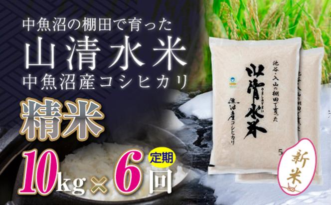 【令和6年産】【定期便／全6回】精米10kg　新潟県魚沼産コシヒカリ「山清水米」十日町市 米