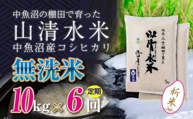 【令和6年産】【定期便／全6回】無洗米10kg　新潟県魚沼産コシヒカリ「山清水米」十日町市 米