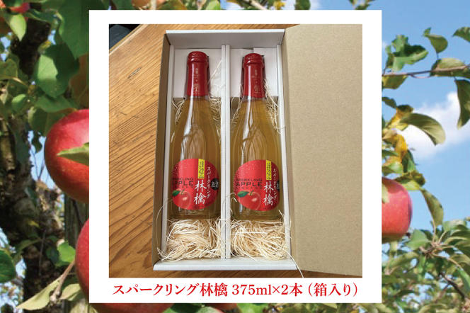 スパークリング 林檎 375ml (箱入り)× 2本 セット 果汁50％ ふじりんご100％使用(BJ002)