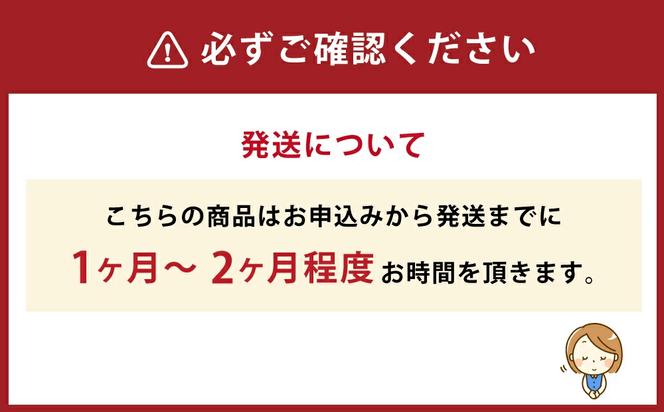 倉敷産帆布×本革 2way トートバッグ（黒×黒）◇