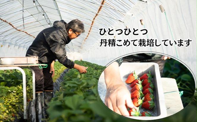 瀬戸内 牛窓産 いちご 紅ほっぺ 約1kg（約250g×4パック） 苺 イチゴ 岡山県 瀬戸内市