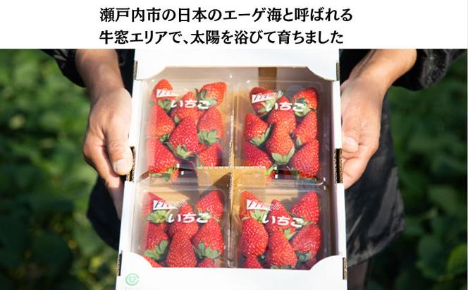 瀬戸内 牛窓産 いちご 紅ほっぺ 約1kg（約250g×4パック） 苺 イチゴ 岡山県 瀬戸内市