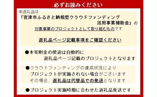 CF2 干し芋 25年発送分受付_紅はるかの干し芋150g×4 さつまいも サツマイモ 紅はるか ねっとり 自家栽培 宮津市 京都府