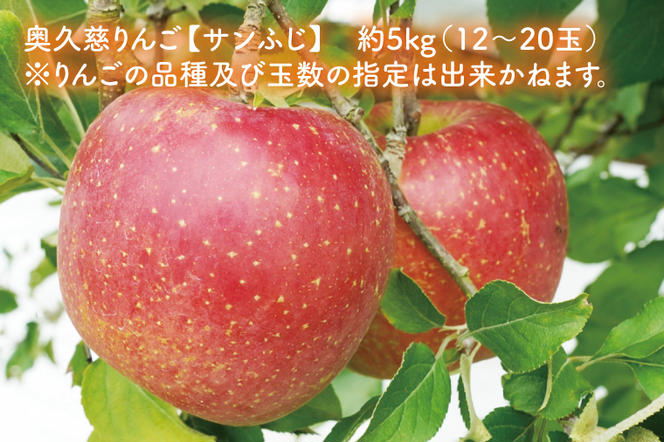 【数量限定】【2024年11月上旬以降発送】樹上完熟の奥久慈りんご（サンふじ）約5kg（12～20玉）斉藤りんご園第2直売所（CG008）