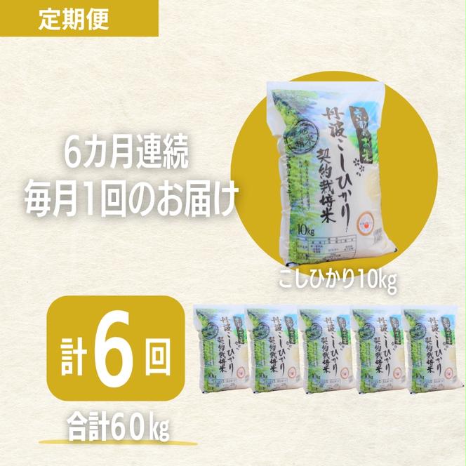 【6カ月定期便】令和6年産 新米 京都丹波産 こしひかり 10kg 合計60kg