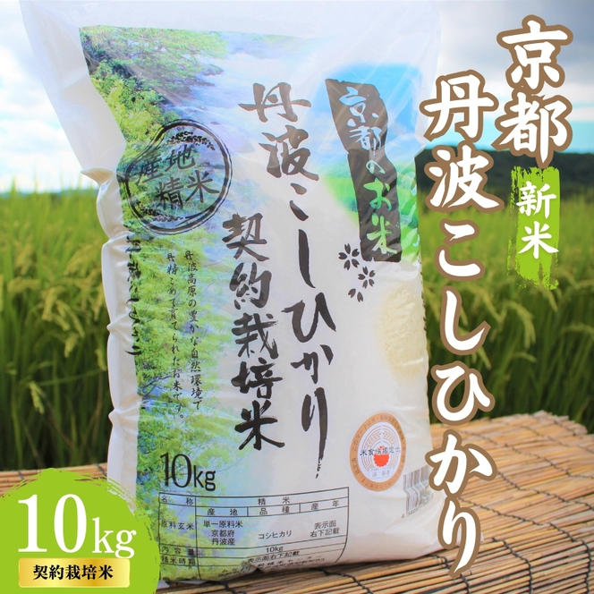 令和6年産 新米 京都丹波産 こしひかり 10kg　契約栽培米