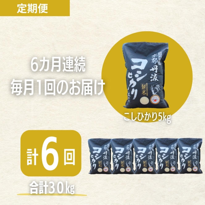 【6カ月定期便】令和6年産 新米 京都丹波産 こしひかり 5kg 合計30kg