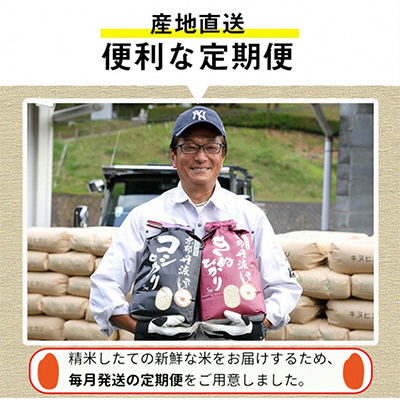 【6カ月定期便】令和6年産 新米 京都丹波産 こしひかり・きぬひかり 食べ比べセット 10kg 合計60kg