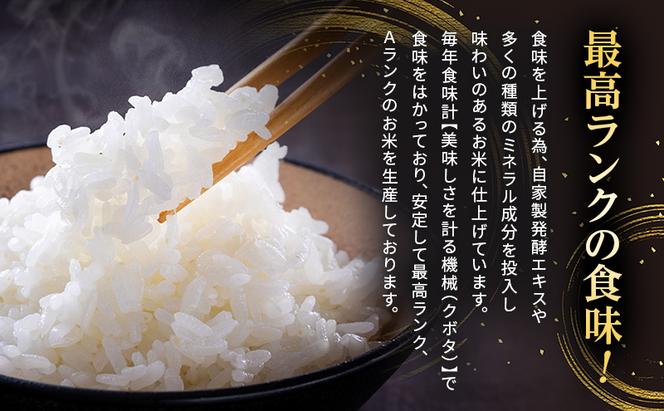 【令和6年産新米予約受付】 特別栽培米 にこまる 白米10kg (5kg×2袋) 東京米スターセレクションKIWAMI米2023 金賞受賞！ 新米 精米 白米 お米 ごはん ご飯 先行予約 単一原料米 こめ