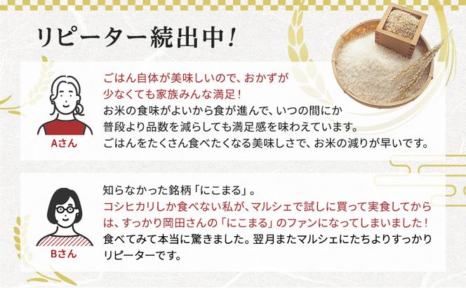 【令和6年産新米予約受付】 特別栽培米 にこまる 白米10kg (5kg×2袋) 東京米スターセレクションKIWAMI米2023 金賞受賞！ 新米 精米 白米 お米 ごはん ご飯 先行予約 単一原料米 こめ