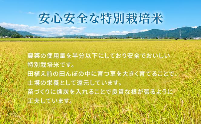 令和6年産 白米 2kg 特別栽培米 にこまる （ 山田錦 ）　米 お米 こめ コメ 特栽米 ひょうご安心ブランド ご飯 ごはん ゴハン 兵庫県 加西市