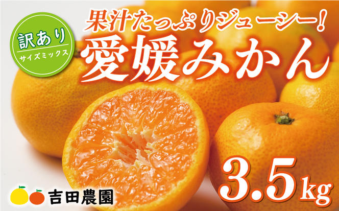 先行予約 訳あり 愛媛みかん 3.5kg 7000円 愛媛 みかん 温州みかん こたつ みかん mikan 蜜柑 ミカン 家庭用 産地直送 国産 農家直送 糖度 期間限定 数量限定 特産品 ゼリー ジュース アイス 人気 限定 甘い フルーツ 果物 柑橘 先行 事前 予約 受付 ビタミン 美味しい おいしい サイズ ミックス 愛南町 愛媛県 吉田農園