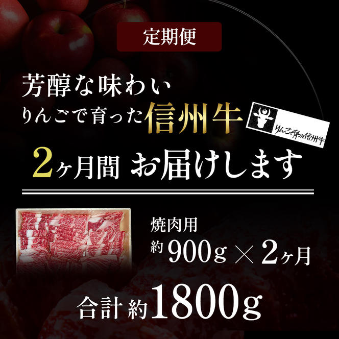 定期便 2ヶ月 りんごで育った信州牛 焼肉用 約900g 【 牛肉 信州牛 焼肉 黒毛和牛 A5 肉 お肉 牛 和牛 焼き肉 BBQ バーベキュー ギフト A5等級 冷蔵 長野県 長野 定期 お楽しみ 2回 】 