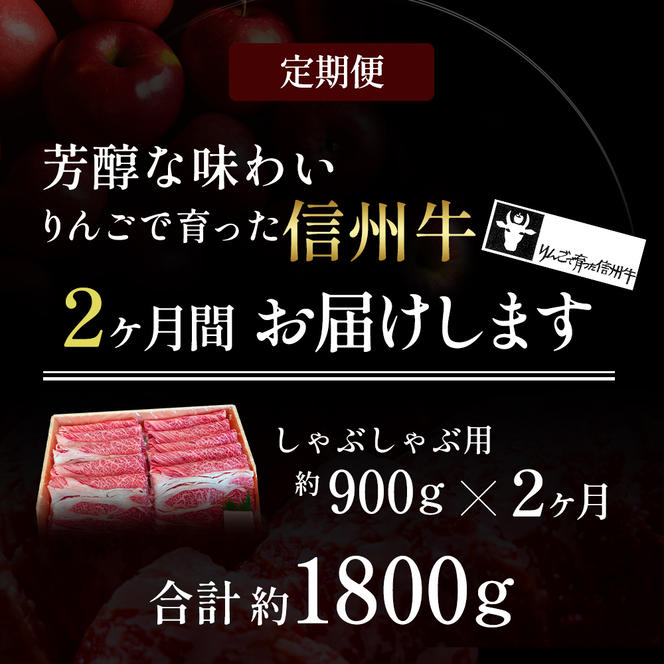 定期便 2ヶ月 りんごで育った信州牛 しゃぶしゃぶ用 約900g 【 牛肉 信州牛 しゃぶしゃぶ 黒毛和牛 A5 肉 お肉 牛 和牛すき焼き すきやき 焼き肉 BBQ バーベキュー ギフト A5等級 冷蔵 長野県 長野 定期 お楽しみ 2回 】