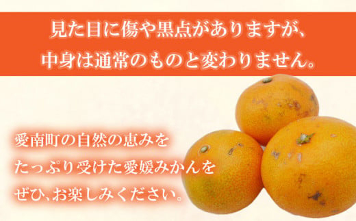 先行予約 訳あり 愛媛みかん 合計 7kg （ 3.5kg × 2箱 ） 14000円 愛媛 みかん 温州みかん こたつ みかん mikan 蜜柑 ミカン 家庭用 産地直送 国産 農家直送 糖度 期間限定 数量限定 特産品 ゼリー ジュース アイス 人気 限定 甘い フルーツ 果物 柑橘 先行 事前 予約 受付 ビタミン 美味しい おいしい サイズ ミックス 愛南町 愛媛県 吉田農園