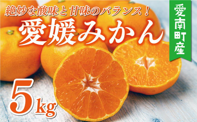 訳あり 愛媛みかん 5kg 7000円 愛媛 みかん 温州みかん 早生 みかん こたつ みかん 温州ミカン 温州 mikan 蜜柑 ミカン 家庭用 贈答用 ギフト プレゼント お歳暮 産地直送 国産 農家直送 糖度 期間限定 数量限定 特産品 ゼリー ジュース アイス 人気 限定 甘い フルーツ 果物 柑橘 ビタミン 美味しい おいしい サイズ ミックス 愛南町 愛媛県 マルハラファーム