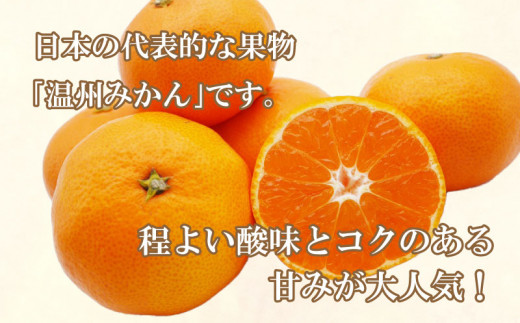 訳あり 愛媛みかん 5kg 7000円 愛媛 みかん 温州みかん 早生 みかん こたつ みかん 温州ミカン 温州 mikan 蜜柑 ミカン 家庭用 贈答用 ギフト プレゼント お歳暮 産地直送 国産 農家直送 糖度 期間限定 数量限定 特産品 ゼリー ジュース アイス 人気 限定 甘い フルーツ 果物 柑橘 ビタミン 美味しい おいしい サイズ ミックス 愛南町 愛媛県 マルハラファーム